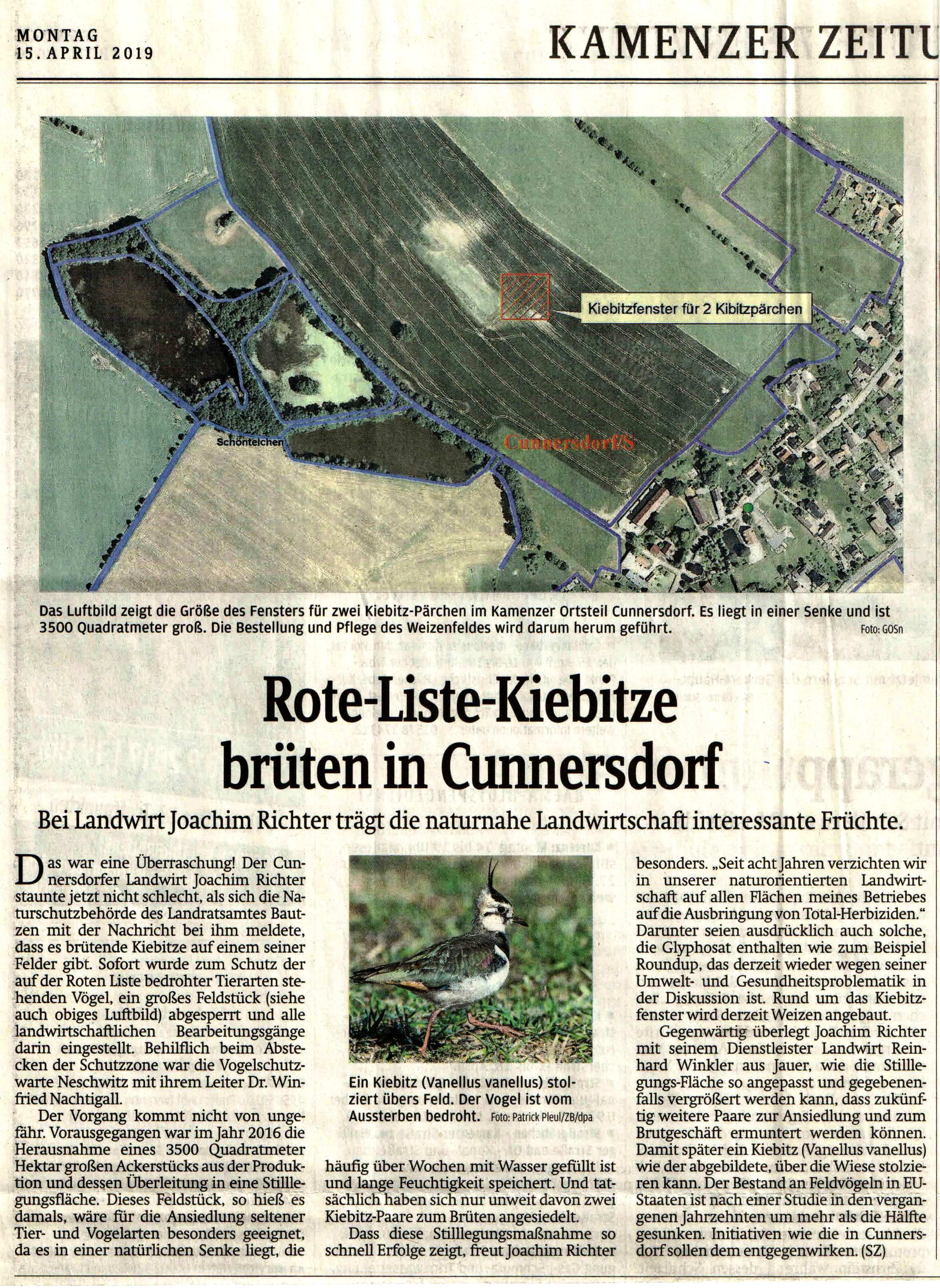 Familienchronik Richter in Sachsen: Landwirt Joachim Richter freut sich über Kiebitz -Brutpaarre, die auf der Roten-Liste stehen, in Cunnersdorf bei Kamenz.